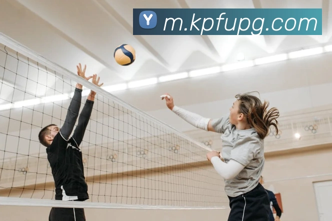 新葡京娱乐城APP 高清赛事图